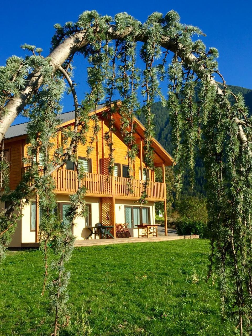 Les Chalets Fleurs De France - Kota Saint-Dalmas Exteriér fotografie