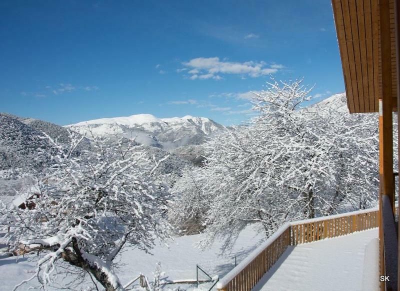 Les Chalets Fleurs De France - Kota Saint-Dalmas Exteriér fotografie